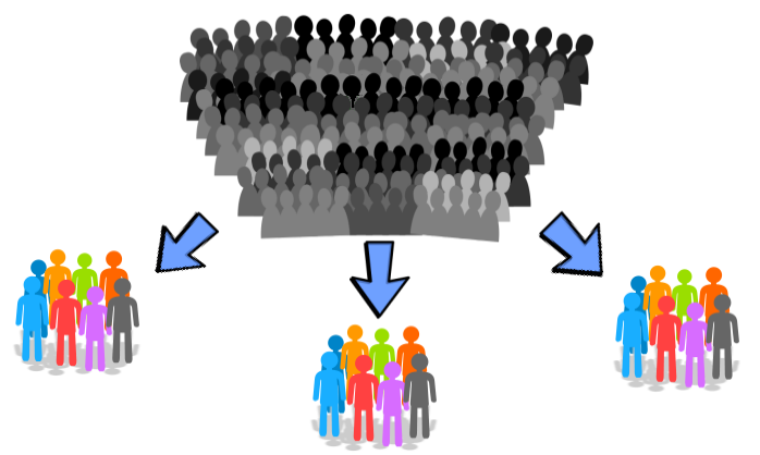 segmentation