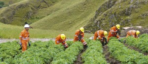 140825062644_4444ridora